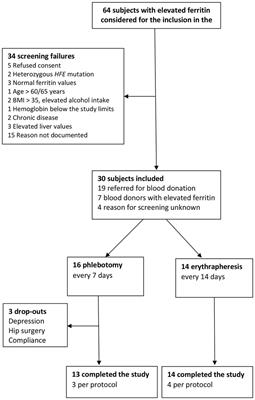 Blood donation for iron removal in individuals with HFE mutations: study of efficacy and safety and short review on hemochromatosis and blood donation